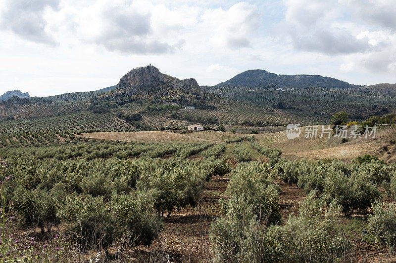 Camino Mozarabe位于格拉纳达和科尔多瓦之间的干旱和农业环境中，拥有无尽的橄榄树，小家庭农场坐落在树林中